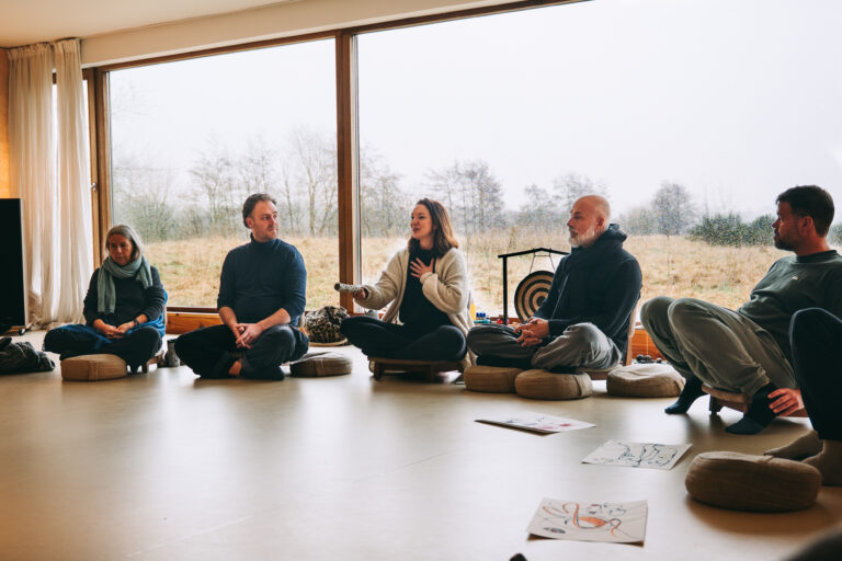 Psychedelisches Retreat Einführung